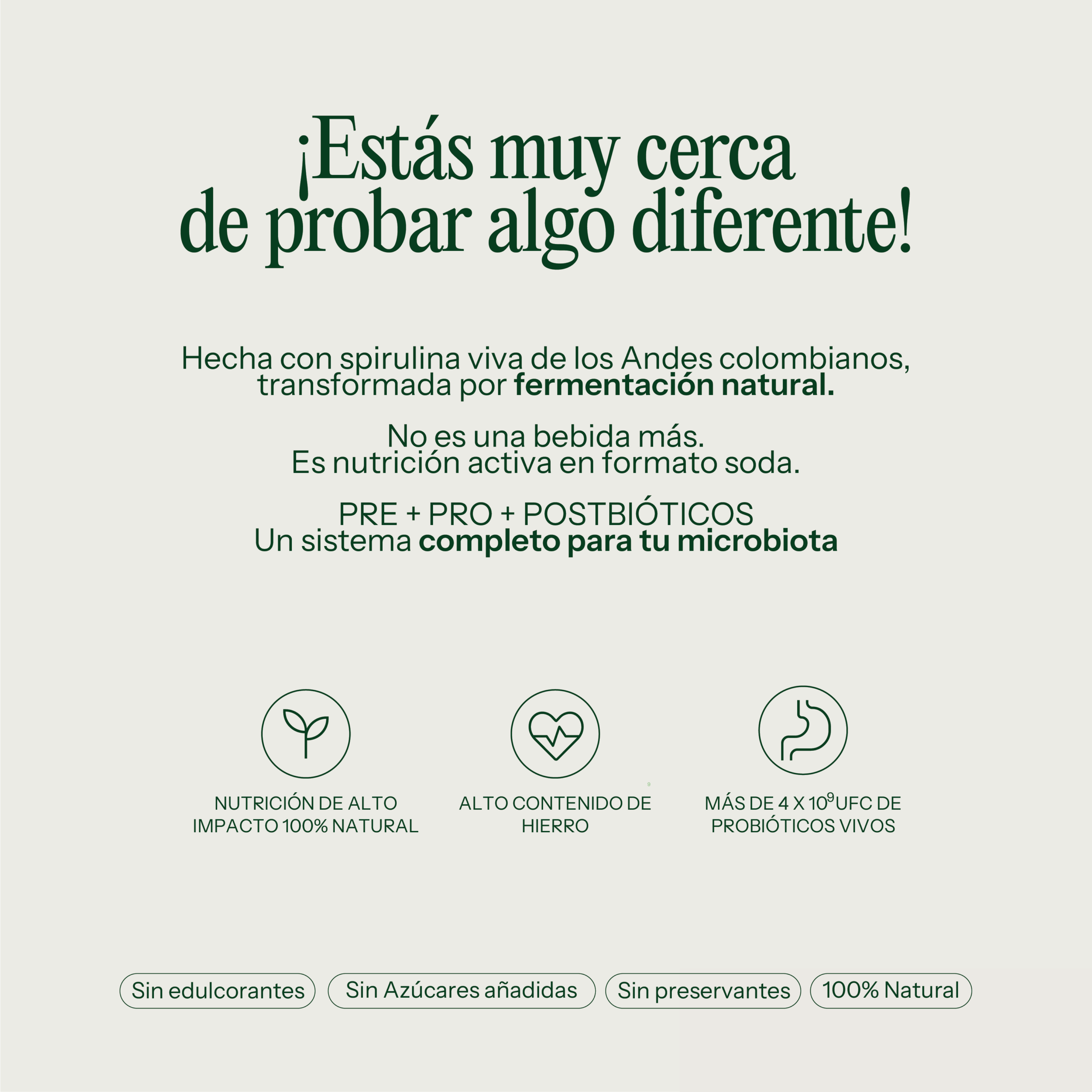 Soda Natural Oroó de Spirulina Fermentada Pack 12 - Imagen 2